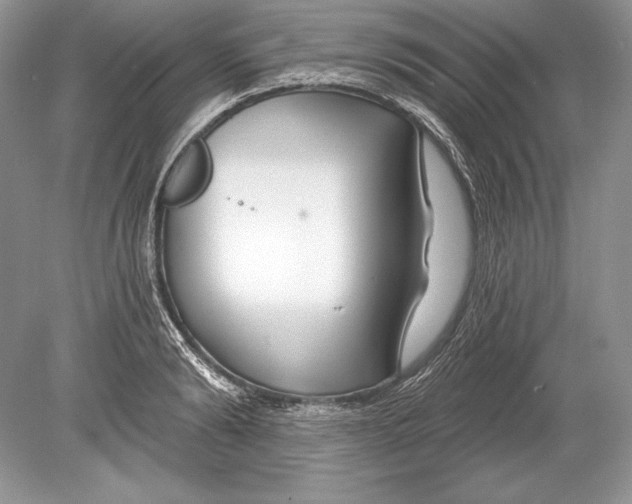 X0000078890894200612111802