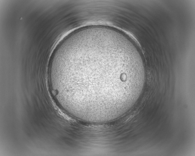 X0000078890895200612111802