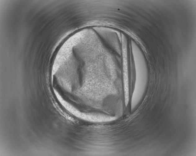 X0000078890896200612111802