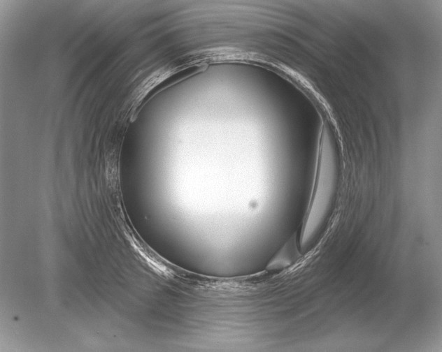 X0000078890897200612111802