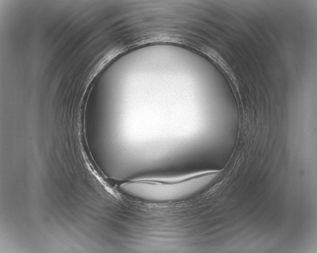 X0000078890898200612111802