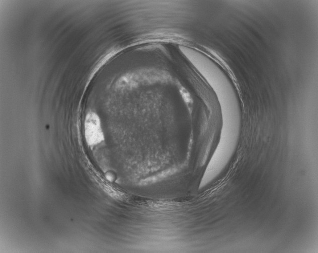 X0000078890899200612111802