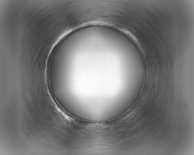 X0000078890902200612111802