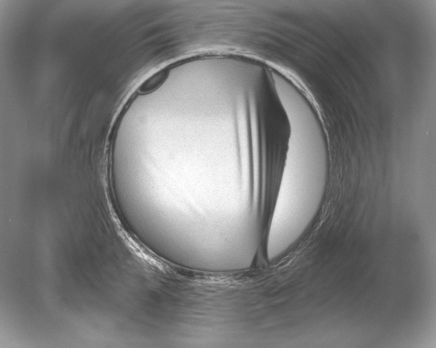 X0000078890903200612111802