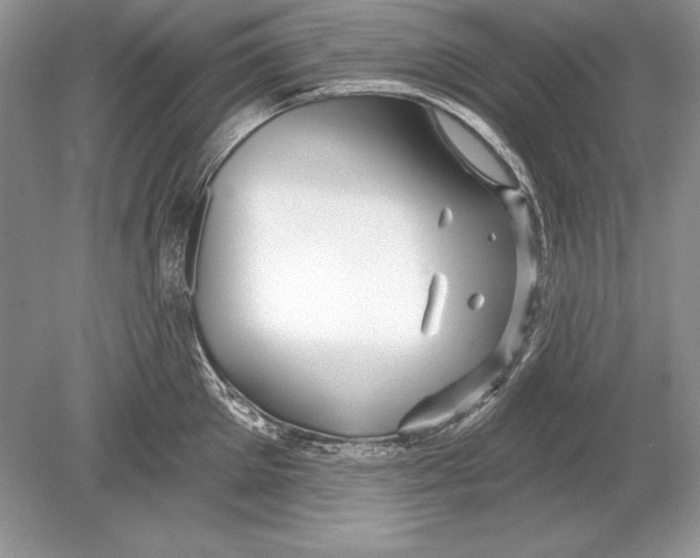 X0000078890905200612111802