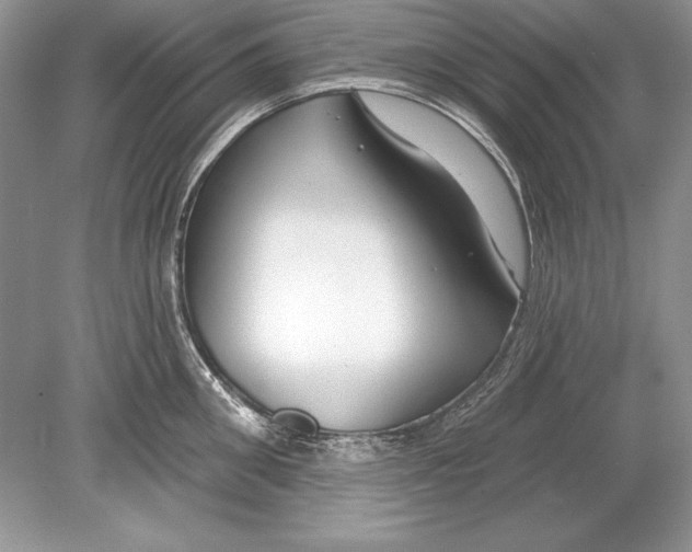 X0000078890906200612111802