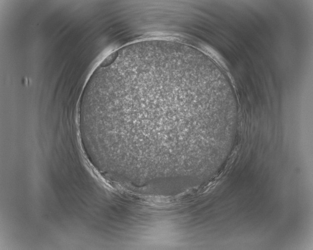 X0000078890907200612111802