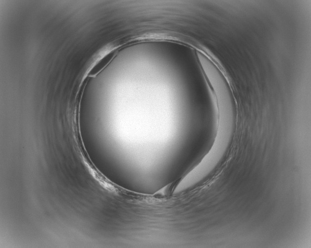 X0000078890909200612111802