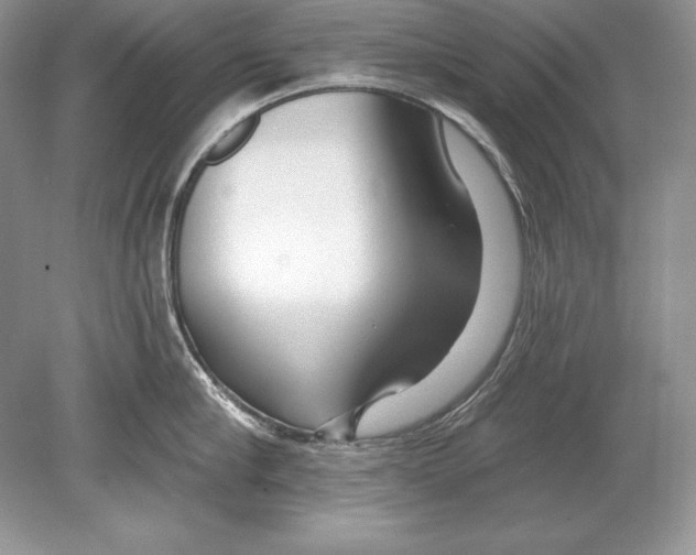 X0000078890910200612111802