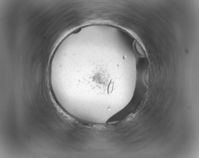 X0000078890911200612111802