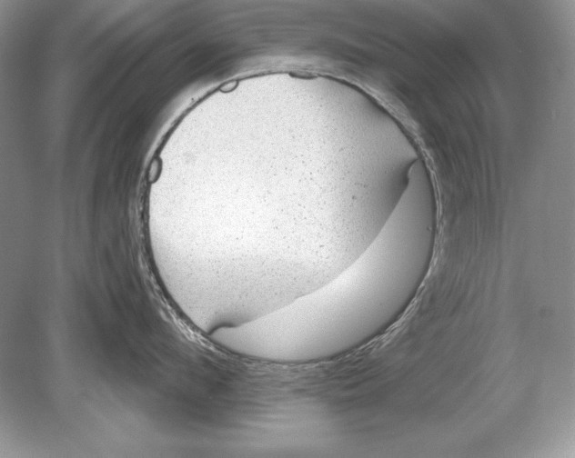 X0000078890912200612111802