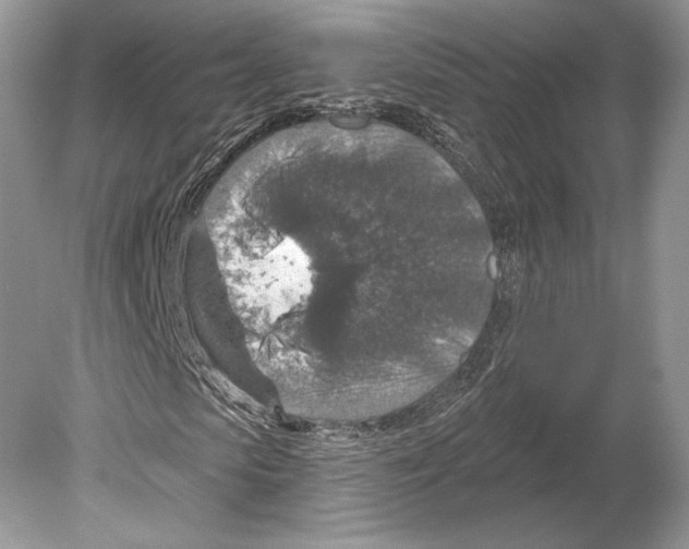 X0000078890913200612111801