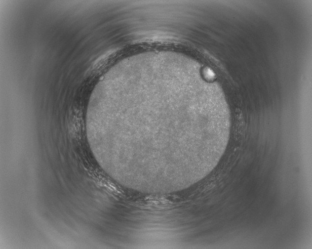 X0000078890918200612111801