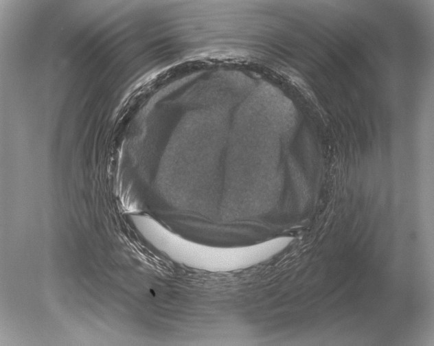 X0000078890920200612111801