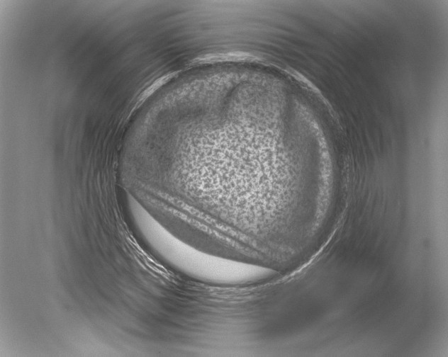 X0000078890921200612111801