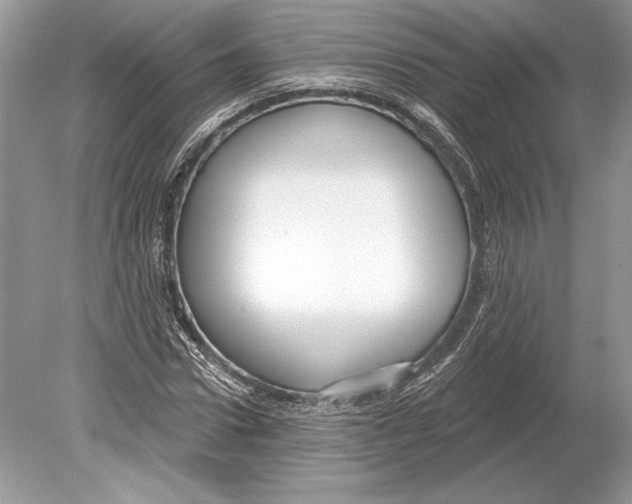 X0000078890922200612111801