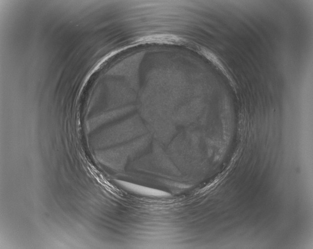 X0000078890923200612111801