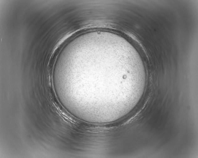 X0000078890925200612111801