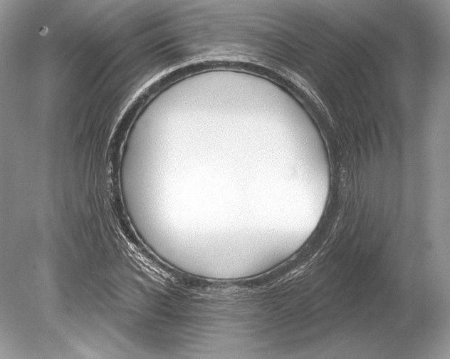 X0000078890926200612111801