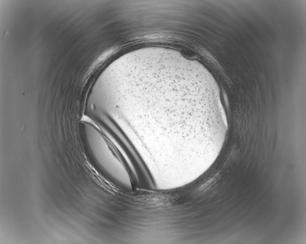 X0000078890930200612111801