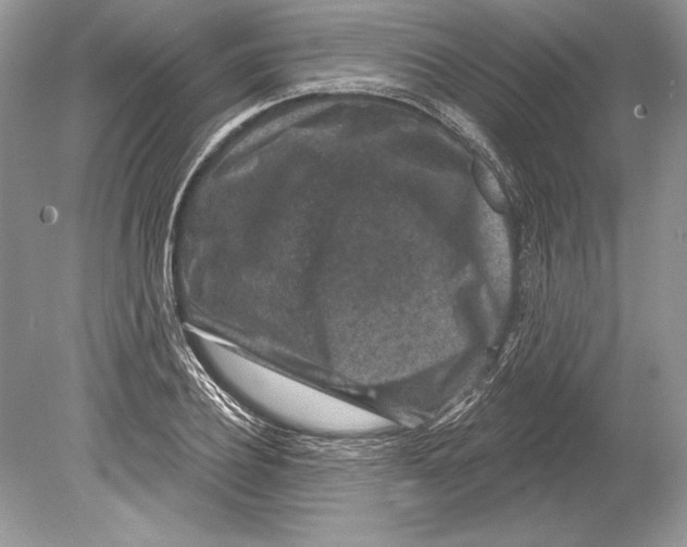 X0000078890932200612111801