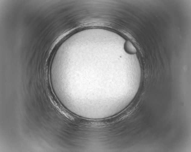 X0000078890933200612111801