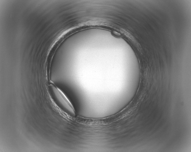 X0000078890934200612111801