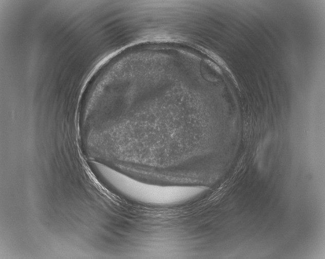 X0000078890935200612111801