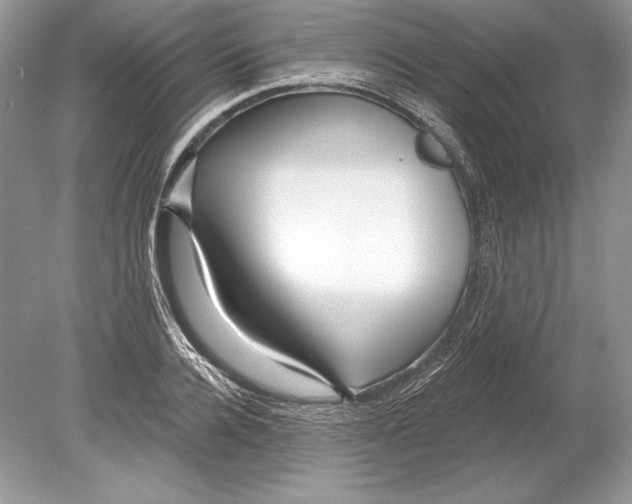 X0000078890936200612111801