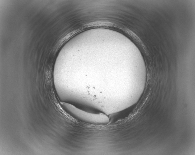 X0000078890937200612111801