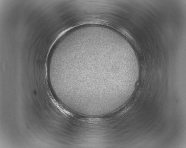 X0000078890940200612111801