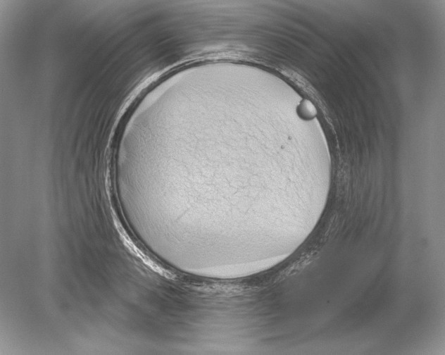 X0000078890941200612111801