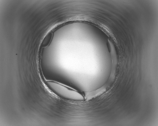 X0000078890942200612111801