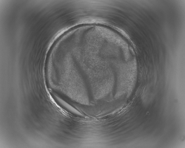 X0000078890943200612111802