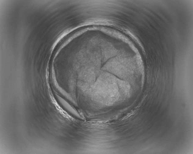 X0000078890944200612111802