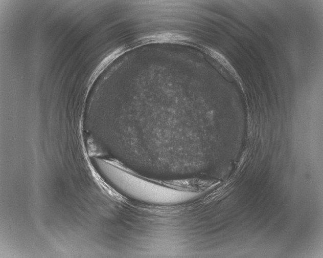 X0000078890946200612111802