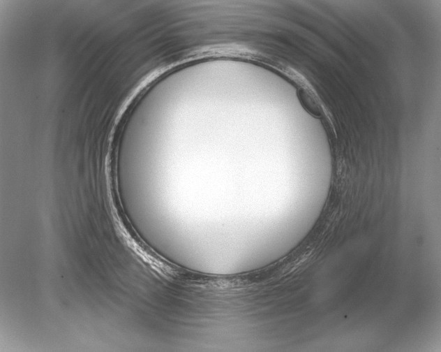 X0000078890947200612111802