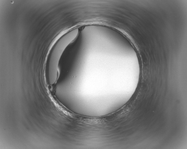 X0000078890949200612111802