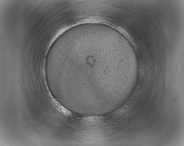 X0000078890950200612111802