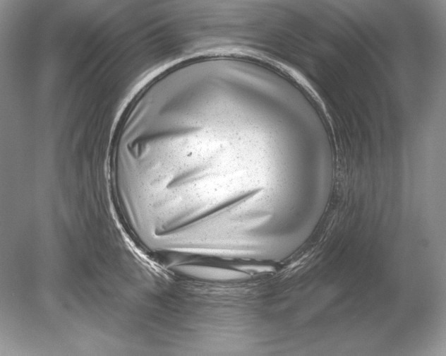 X0000078890951200612111802