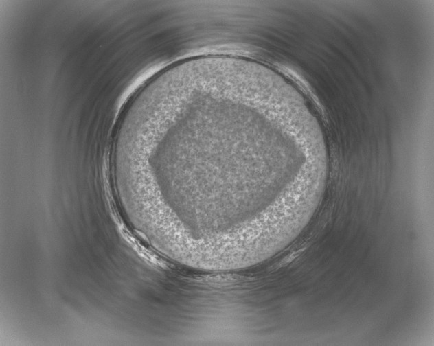 X0000078890952200612111802