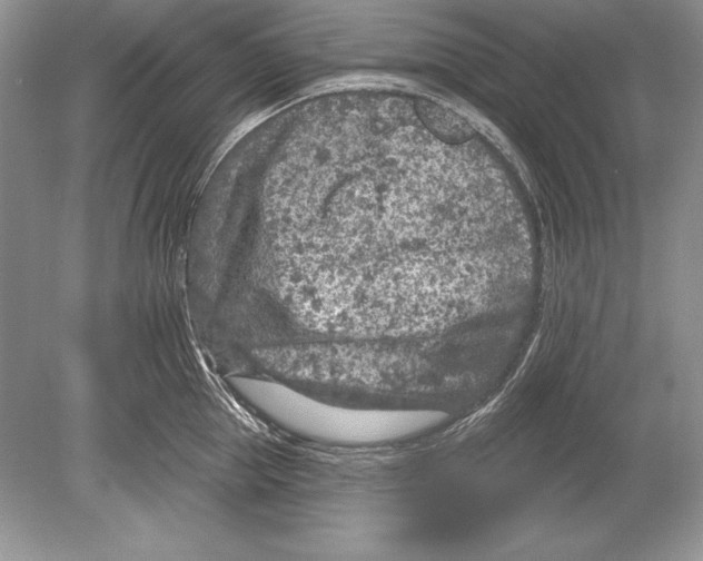 X0000078890953200612111802