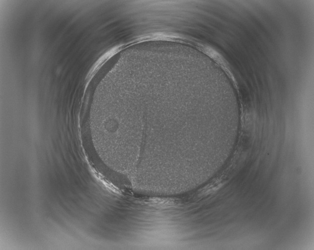 X0000078890954200612111802