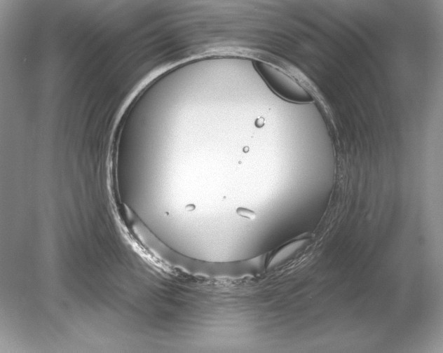 X0000078890955200612111802