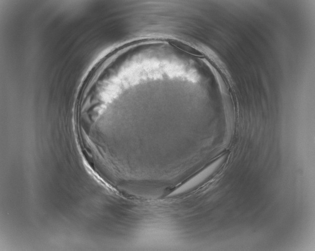 X0000078890958200612111802