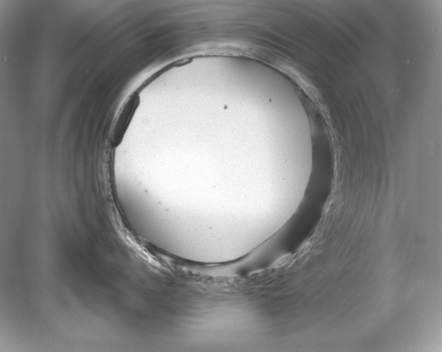 X0000078890960200612111802