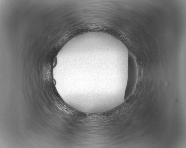 X0000078890963200612111801