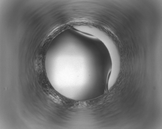 X0000078890968200612111801