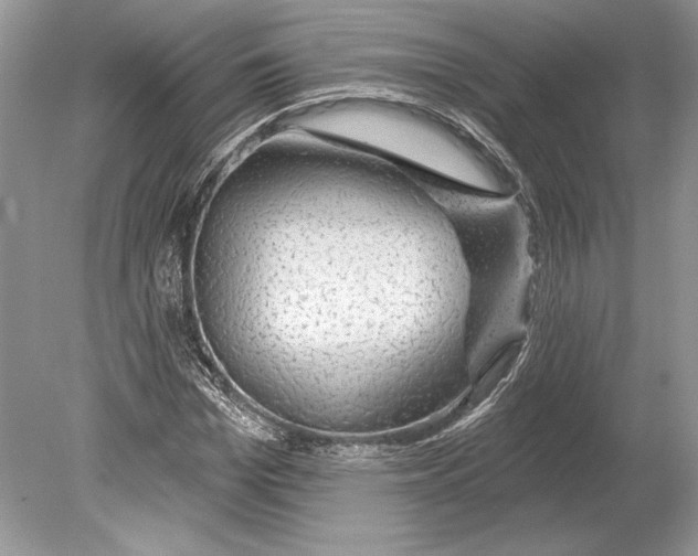 X0000078890969200612111801