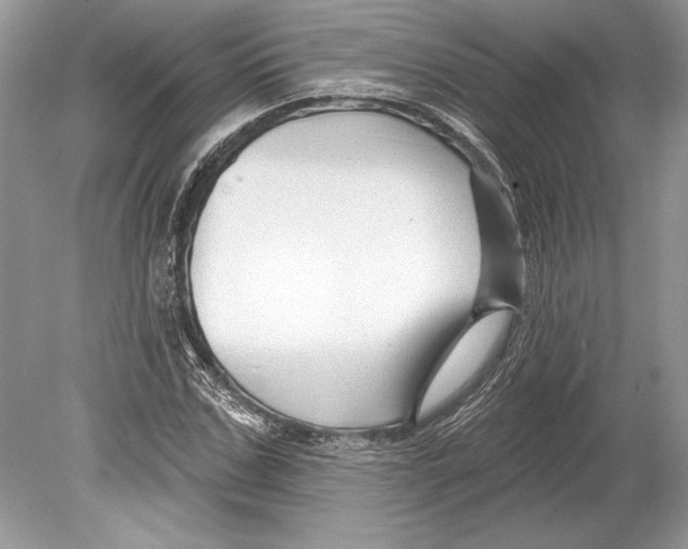 X0000078890971200612111801